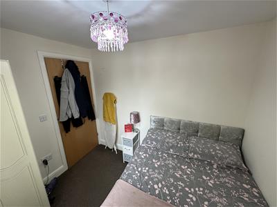 Picture 12